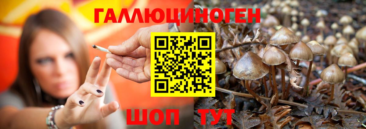Псилоцибиновые грибы мухоморы  Вход с VPN  Лениногорск  Галлюциногенные грибы Cubensis 